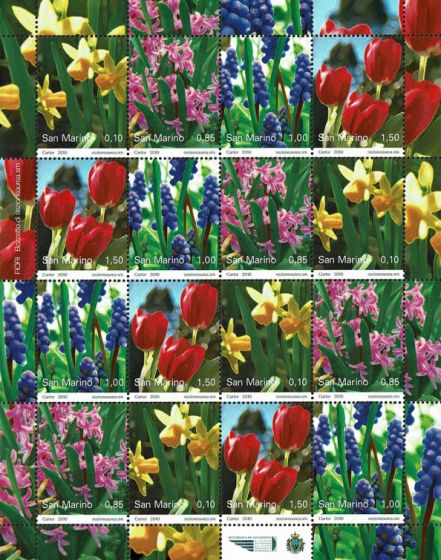 Fiori